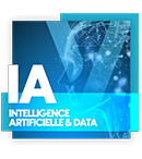 Couverture Brochure Intelligence Artificielle & Data