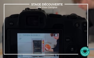 stage-decouverte