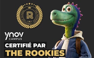 certification The Rookies
