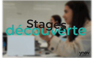 Stages découverte