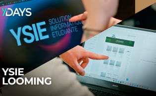 YDAYS : YSIE et Looming
