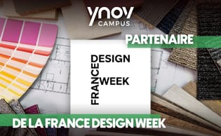 FDW x Ynov