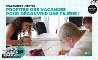 Stages découvertes 2024