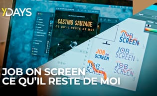 YDAYS : Ce qu'il reste de moi et Job on screen