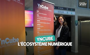 Yncube