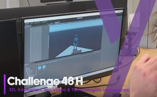 3D challenge 48H