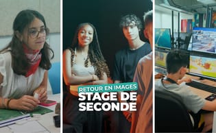 Stage découverte