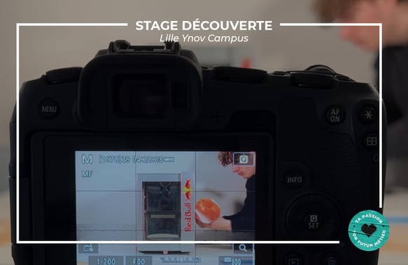 stage-decouverte