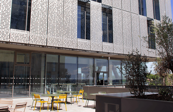 myc-imgcampus-1220x680px3.png