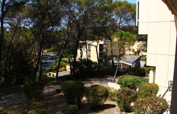 Sophia Ynov Campus Photo 2