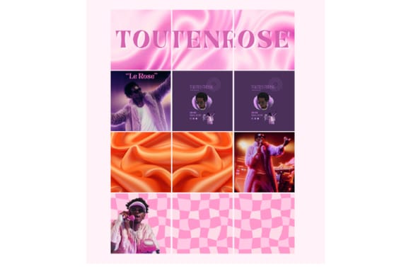 PROJET TOUTESTROSE 8.png