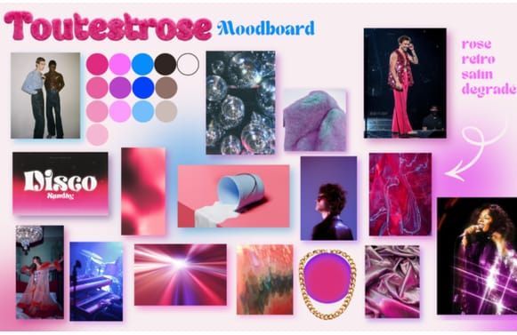 PROJET TOUTESTROSE 9.png