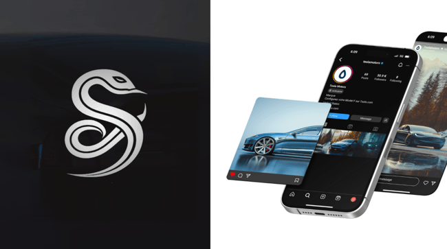 tesla deux images