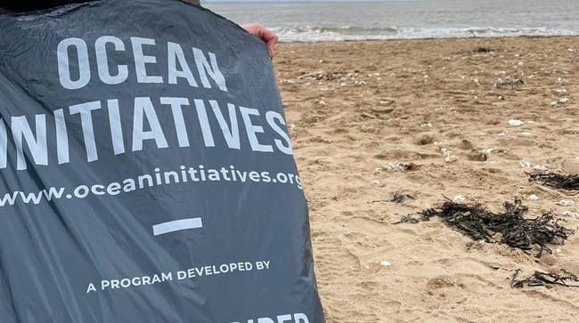 Cleanwalk_Nantes_2023