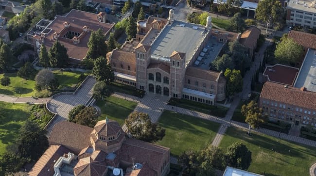 école de commerce à l'étranger