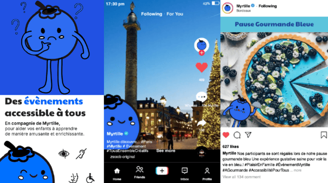 Access'Hack 2024 - Groupe 1, Myrtille (1)