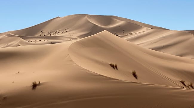Désert marocain
