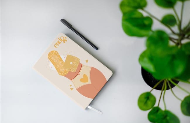 Endo+, par Pauline Colart