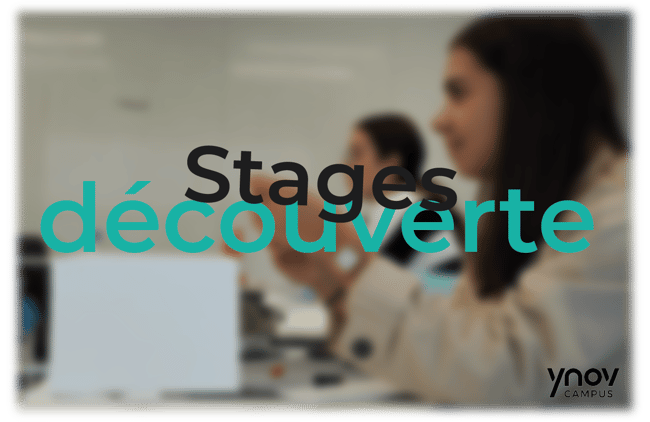 Stages découverte