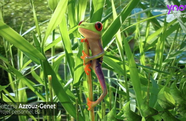 Projets étudiants animation 3D Ynov Campus Lyon