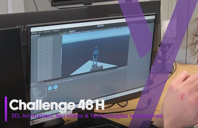 3D challenge 48H