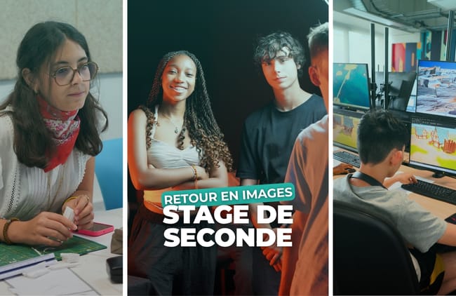Stage découverte