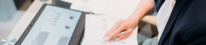 Business Analyst