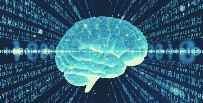 Digital Brain