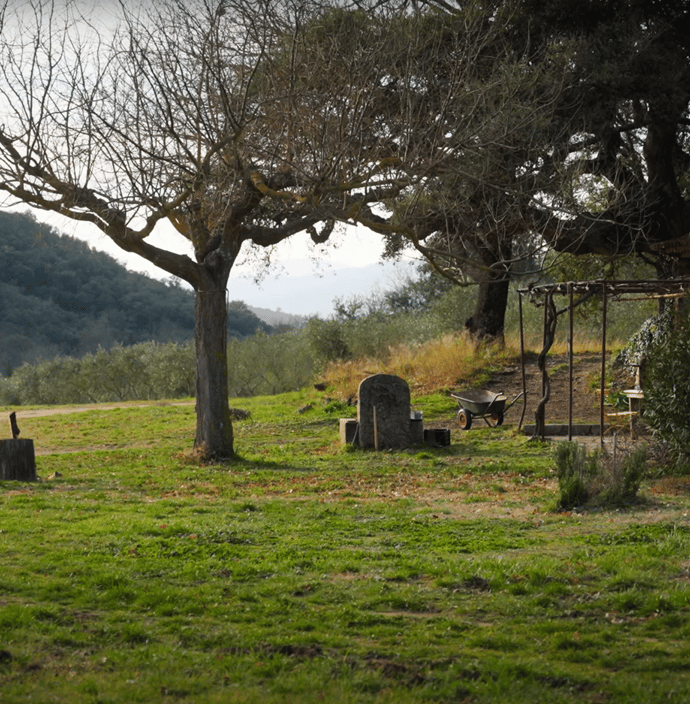 Image_le_point_de_depart_CHALLENGE72H