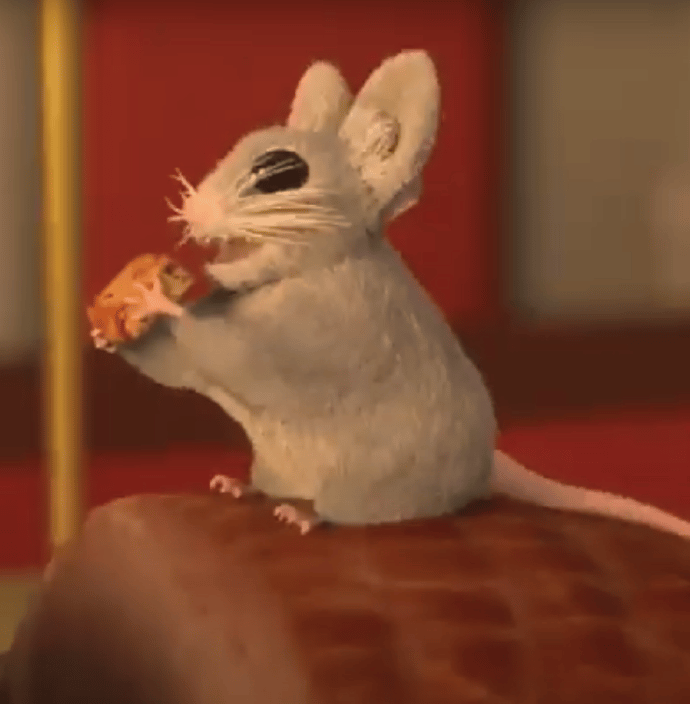 Vidéo présentation The Rookies